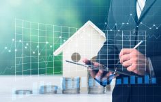 Your CEO Dashboard: A 5-Point Sanity Check